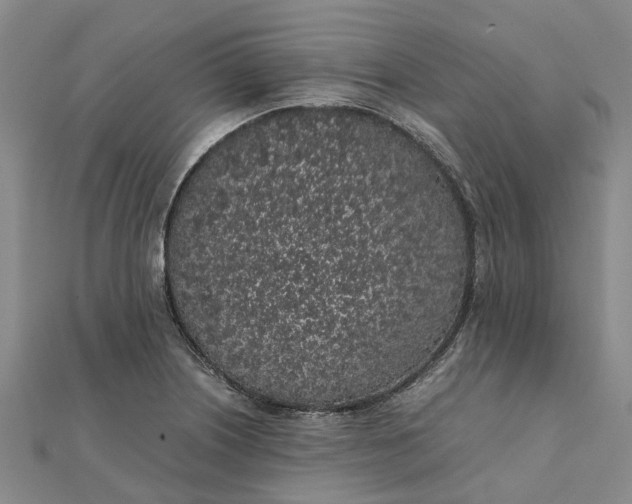 X0000112111226200908251204