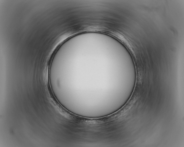 X0000112111227200908251204