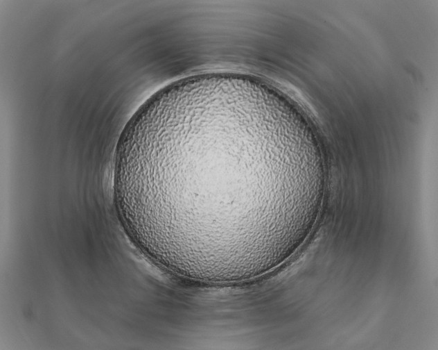 X0000112111228200908251204