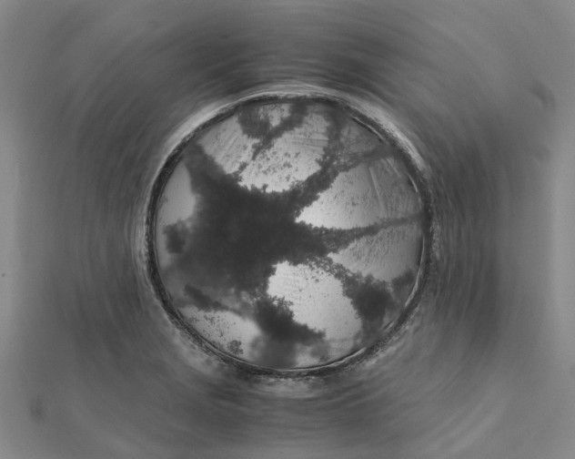 X0000112111229200908251204