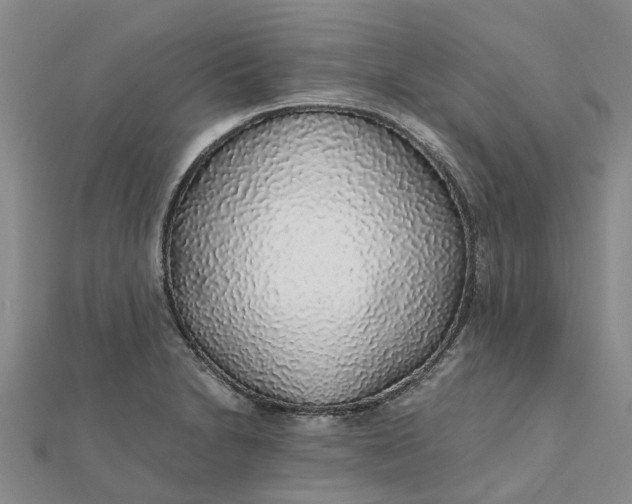 X0000112111230200908251204