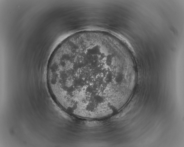 X0000112111231200908251204