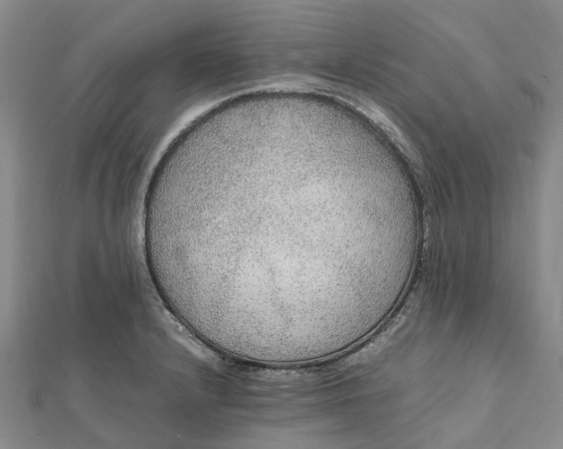 X0000112111232200908251204