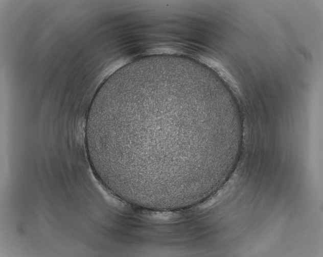 X0000112111233200908251204