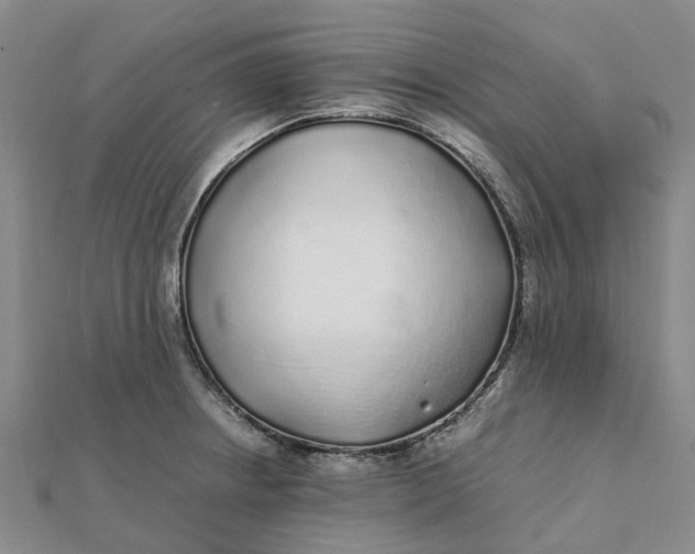 X0000112111234200908251204