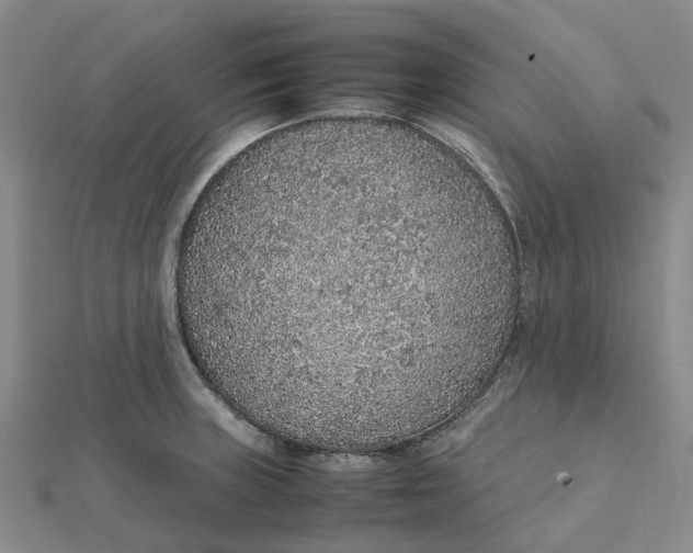 X0000112111235200908251204