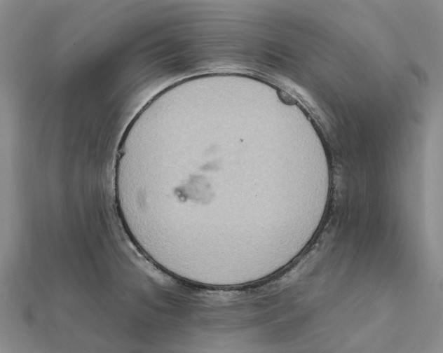 X0000112111236200908251204