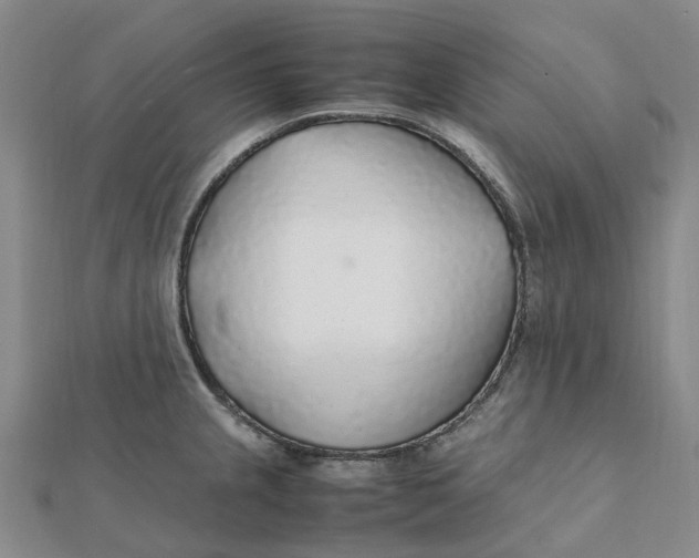 X0000112111237200908251204