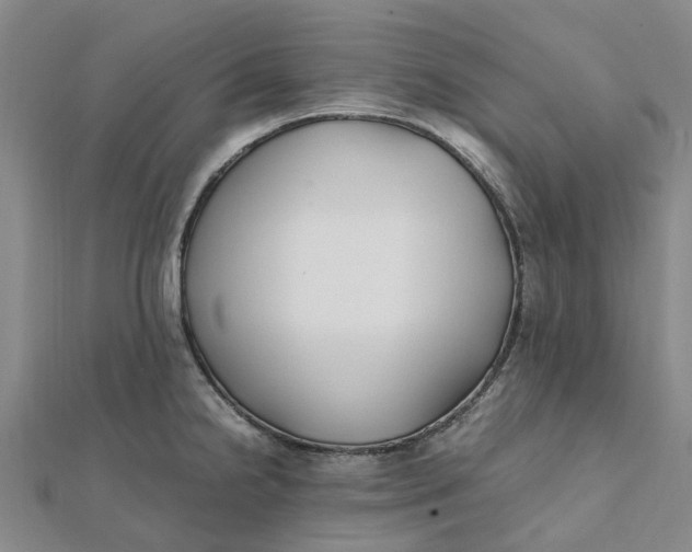 X0000112111238200908251204