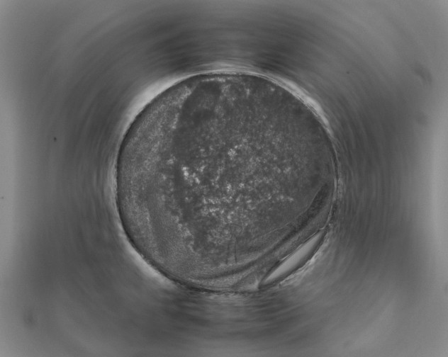 X0000112111239200908251204