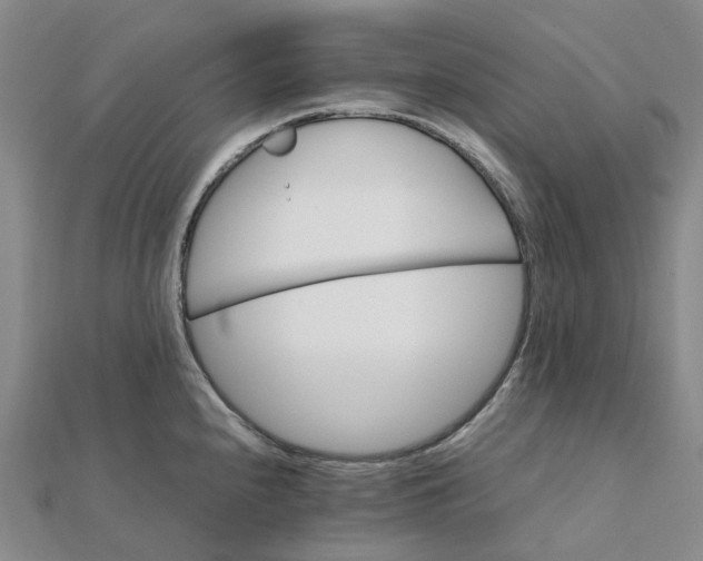 X0000112111240200908251204