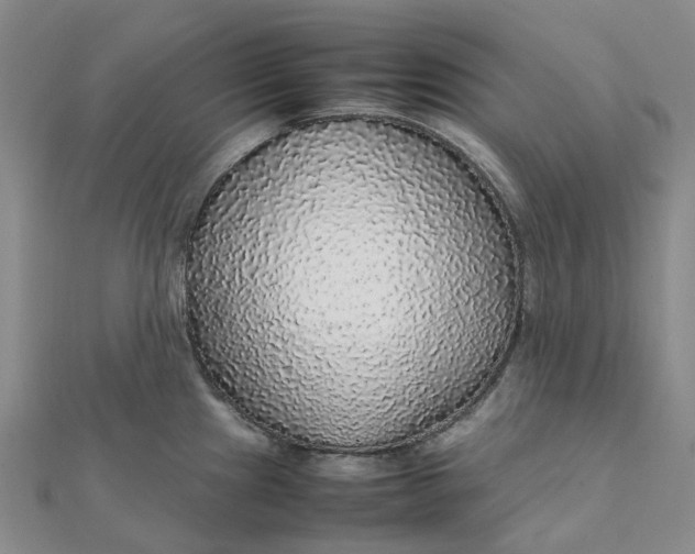 X0000112111241200908251204