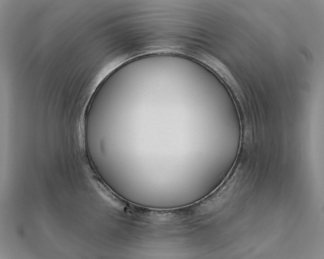 X0000112111242200908251204