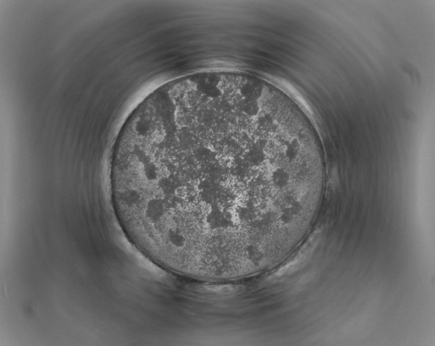 X0000112111243200908251204