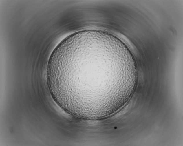 X0000112111244200908251204