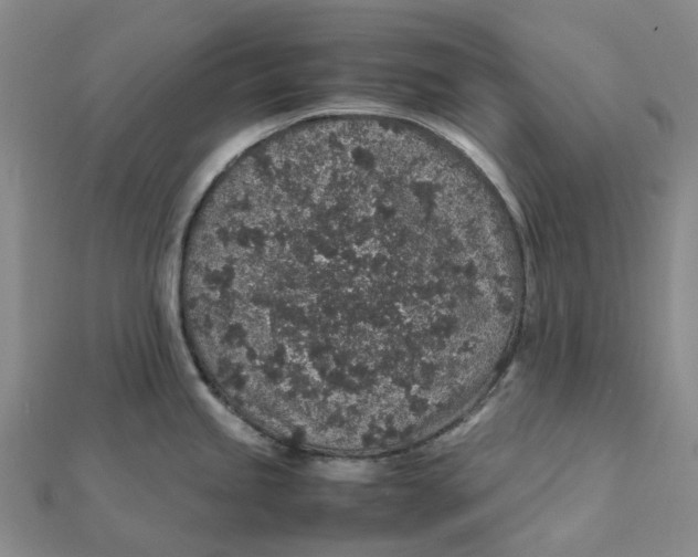 X0000112111245200908251204