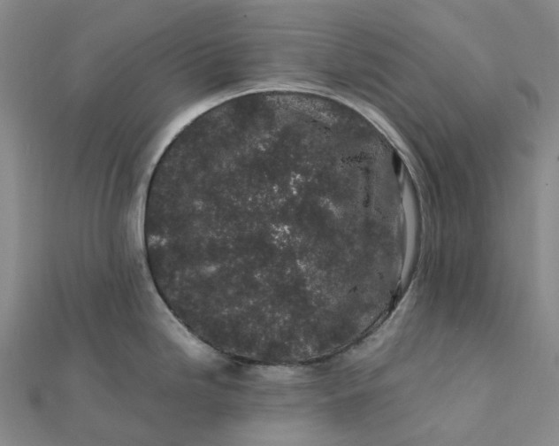 X0000112111246200908251204