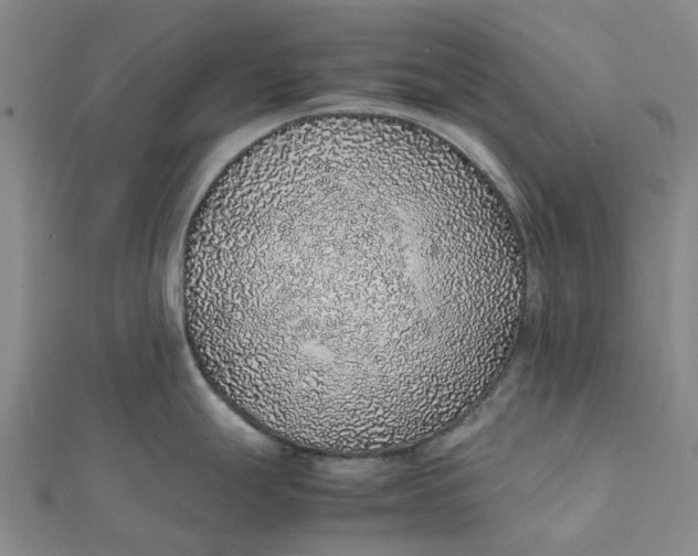 X0000112111247200908251204