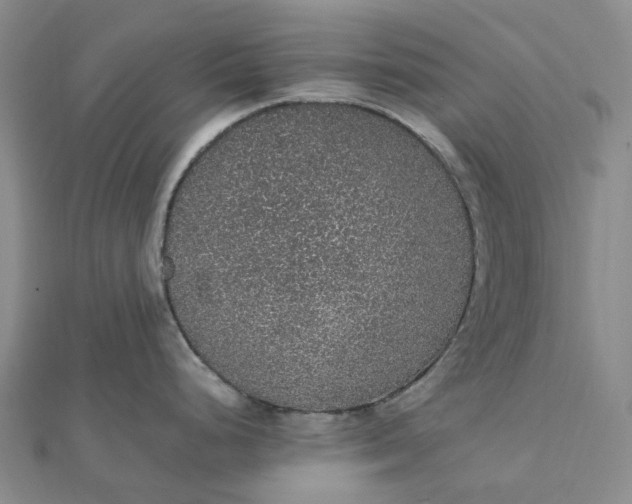 X0000112111248200908251204