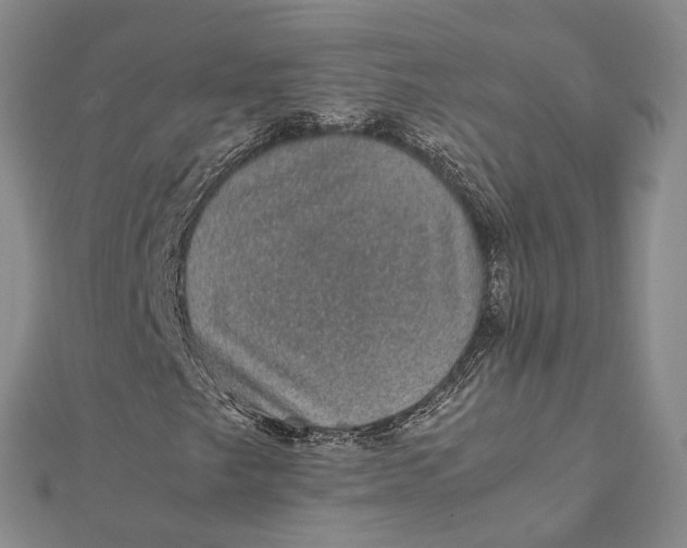 X0000112111249200908251204