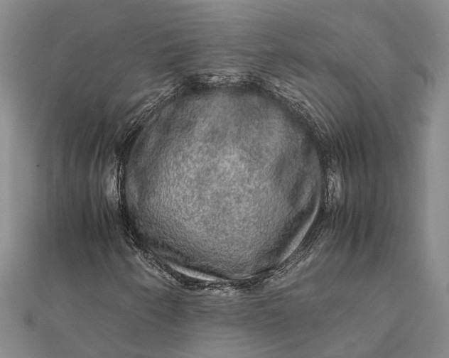 X0000112111250200908251204