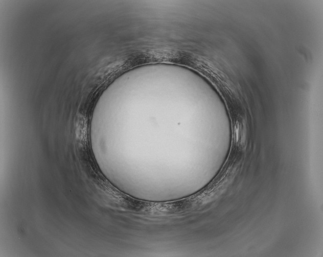 X0000112111251200908251204