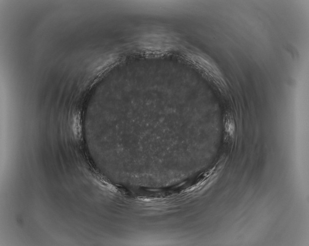 X0000112111252200908251204