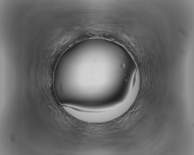 X0000112111253200908251204