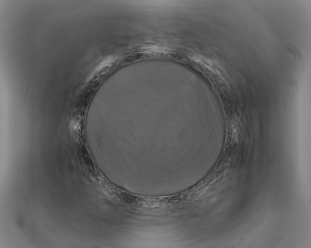 X0000112111254200908251204