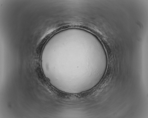 X0000112111255200908251204