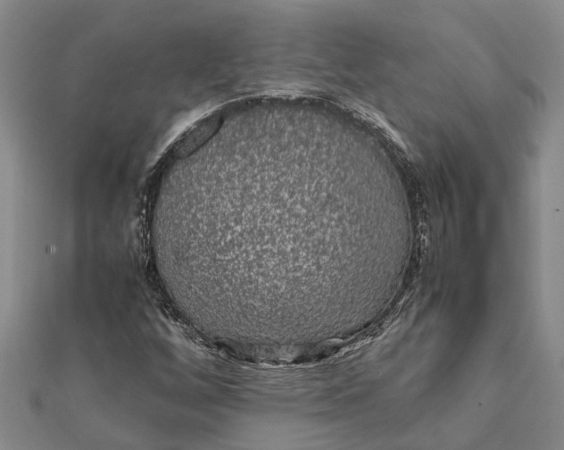 X0000112111256200908251204