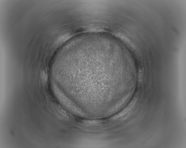 X0000112111257200908251204