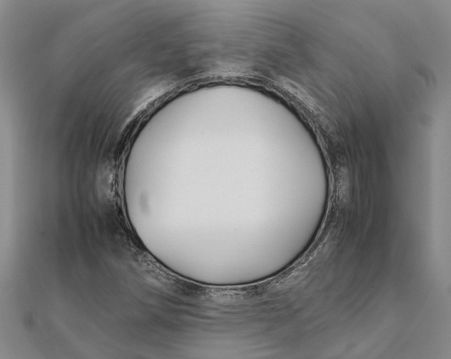 X0000112111258200908251204