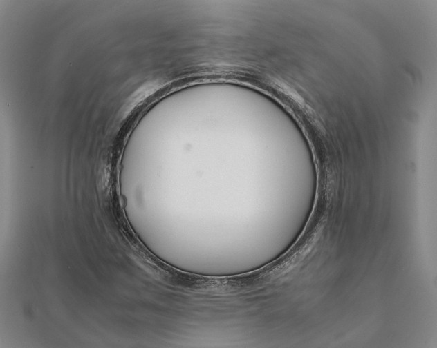 X0000112111259200908251204