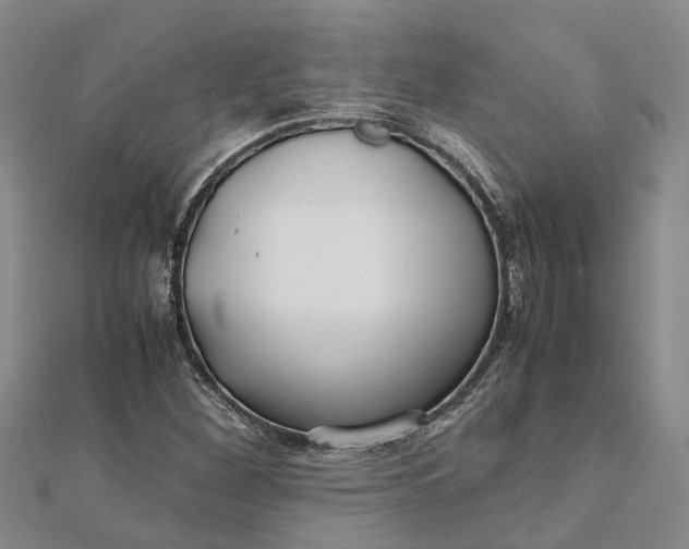 X0000112111260200908251204