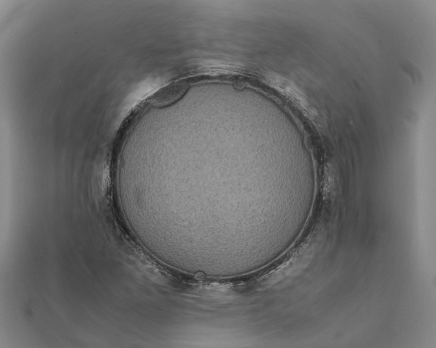 X0000112111261200908251204