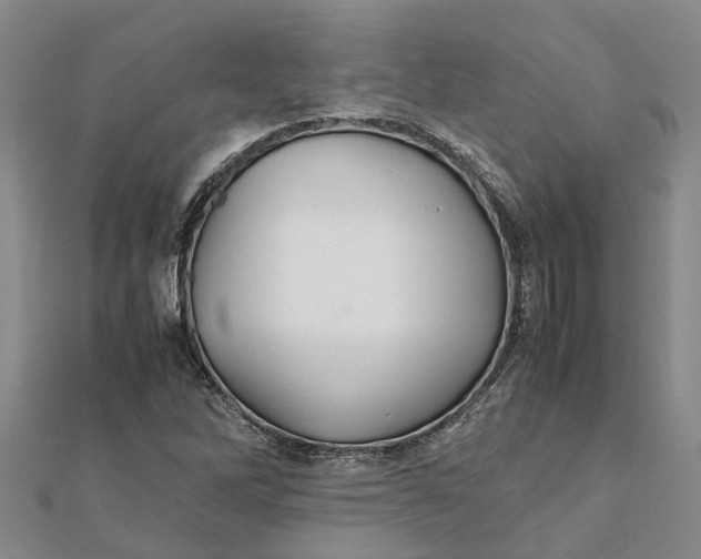 X0000112111262200908251204