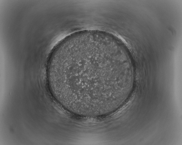 X0000112111263200908251204