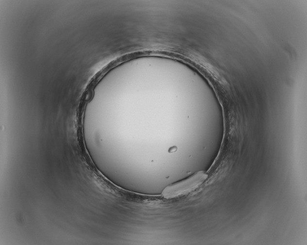 X0000112111264200908251204