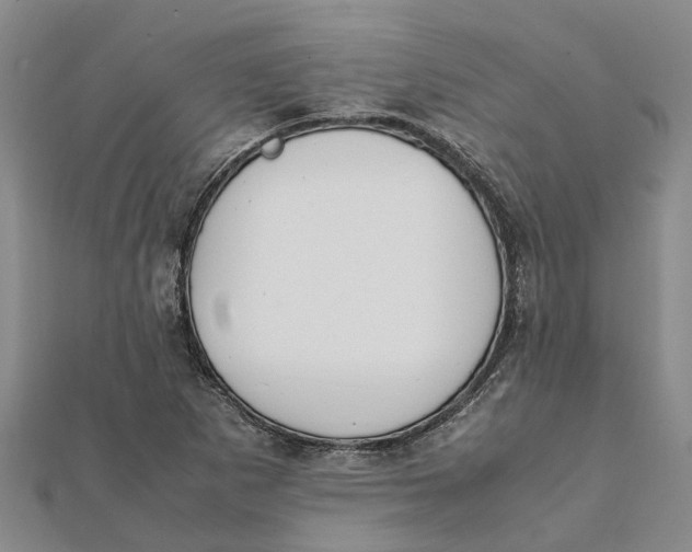 X0000112111265200908251204