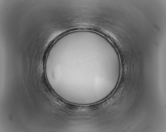 X0000112111267200908251204