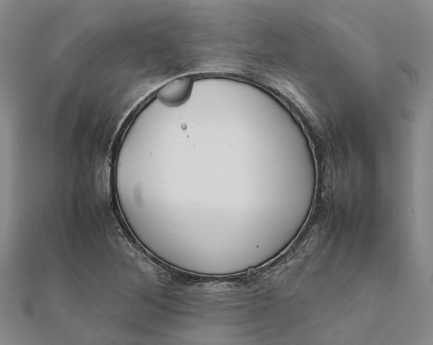 X0000112111268200908251204