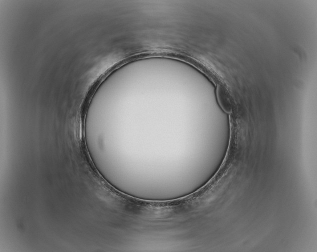 X0000112111269200908251203