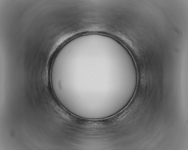 X0000112111270200908251203