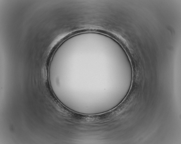 X0000112111271200908251203