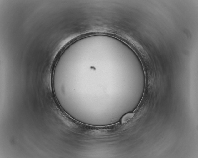 X0000112111272200908251203