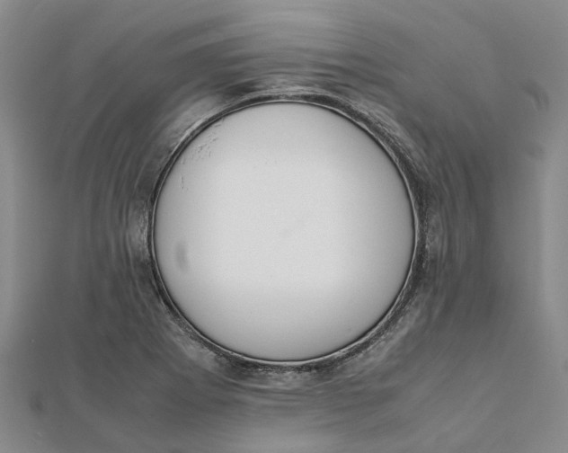 X0000112111273200908251203