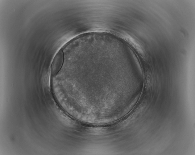 X0000112111276200908251203