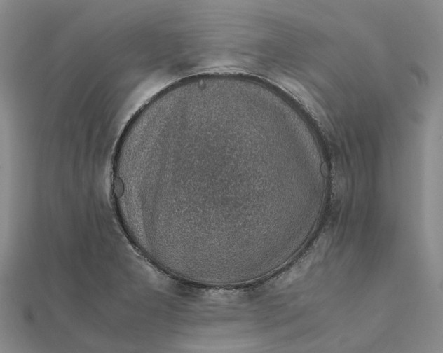 X0000112111277200908251203