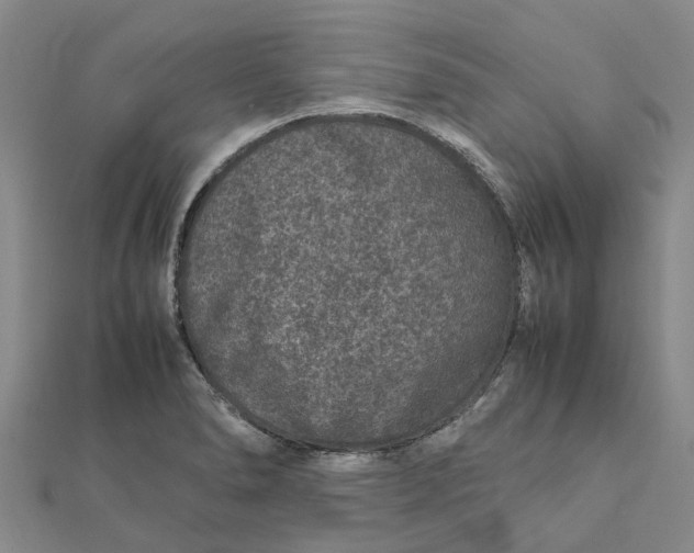 X0000112111278200908251203